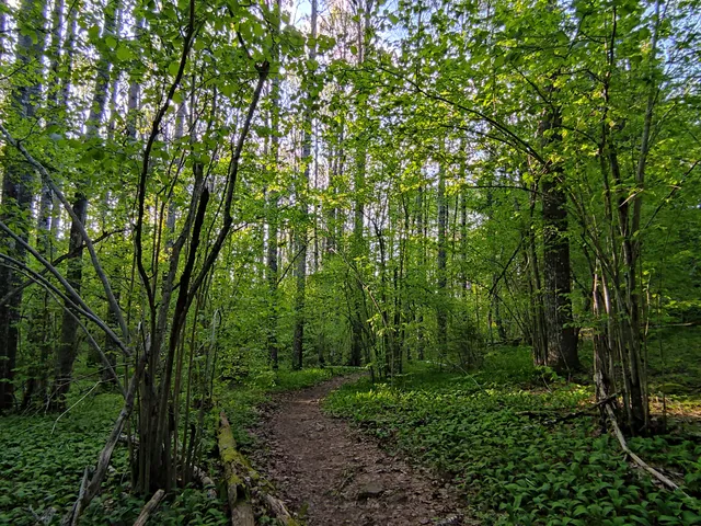 Karkali Strict Nature Reserve