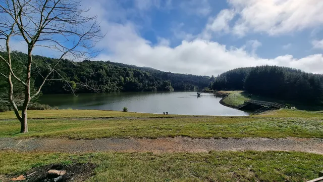 Te Miro Mountain Bike Park