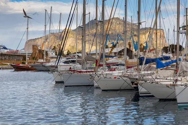 il Parco della Salute