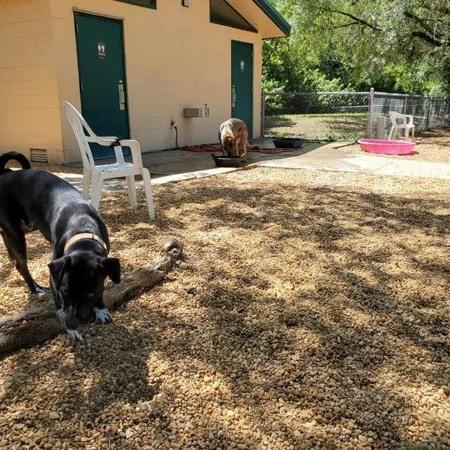 Carolyn Meeker Dog Park