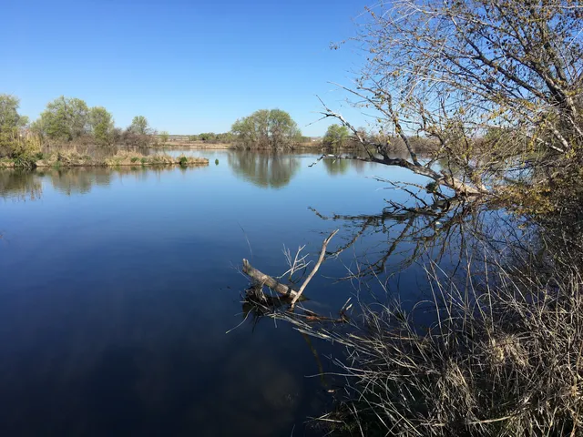 Fort Boise Wildlife Management Area