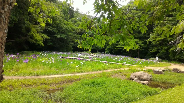 Izumiya Park