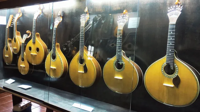 Stringed Instruments Museum