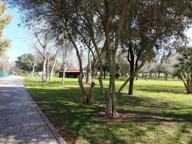 Majuelo Park