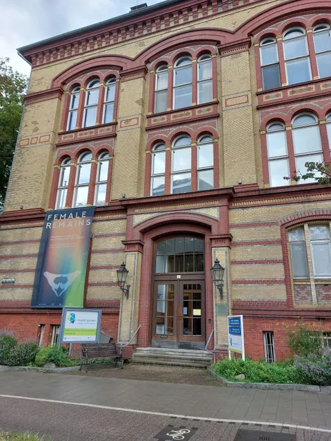 Medical and Pharmaceutical Historical Collection Of Kiel