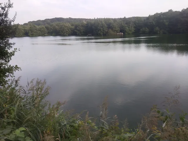 Regional Nature Reserve of the Marshes of Condette