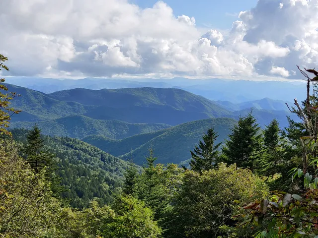 Richland Balsam Trail