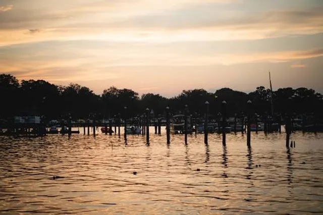 Sambranikodi (സാമ്പ്രാണിക്കോടി)