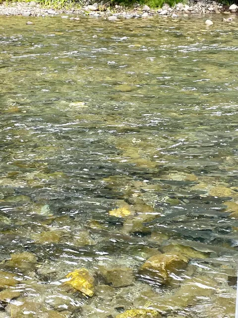 Quinsam River Hatchery