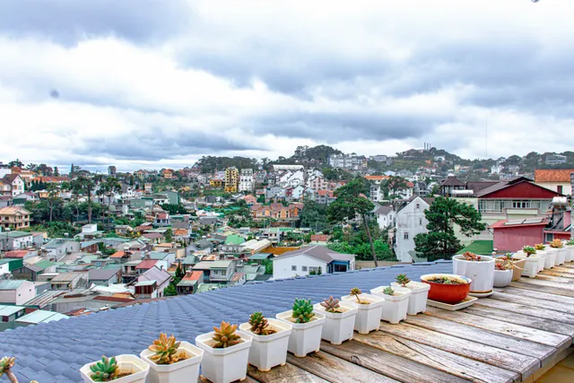 Nắng Hạ Homestay Đà Lạt