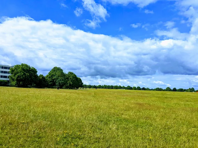 Purley Way Playing Fields