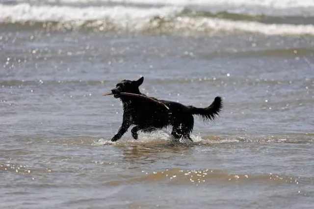 Inch Beach, Co. Kerry