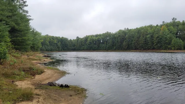 Centre d'Interprétation du doré jaune