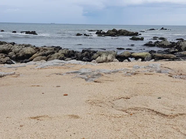 Praia de Valadares Sul