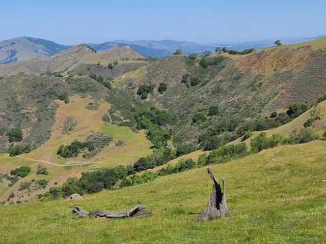photo-2