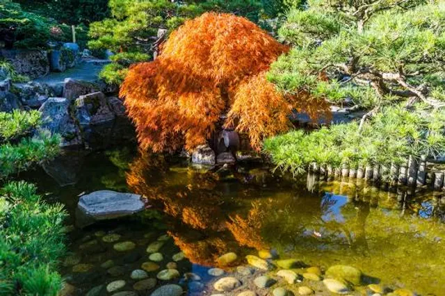 Highline SeaTac Botanical Garden