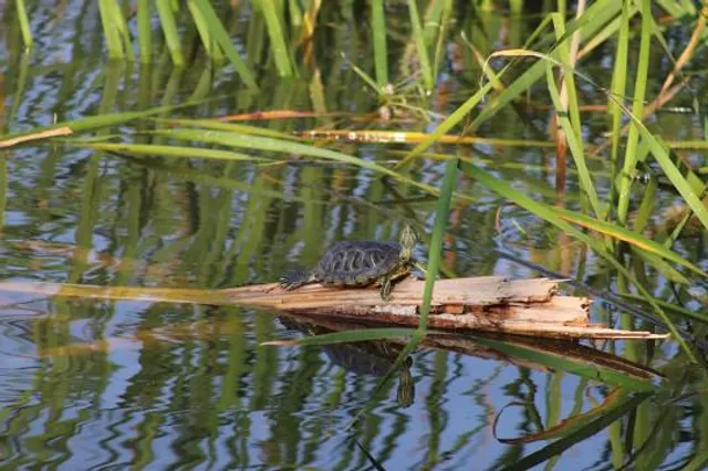 Choke Canyon State Park