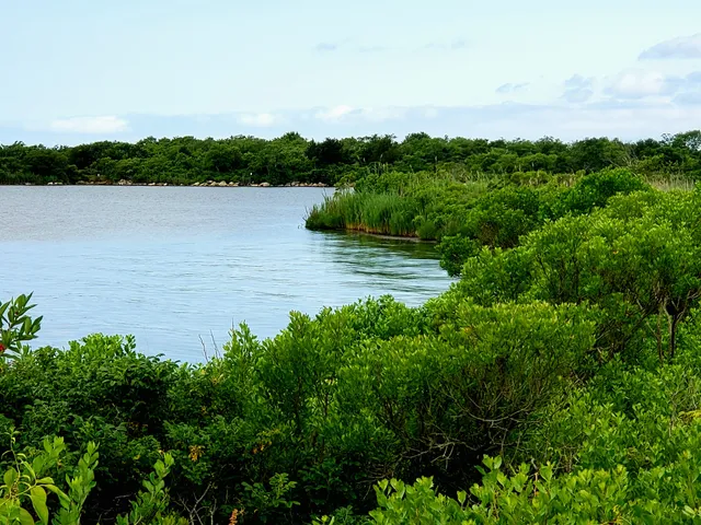 photo-2
