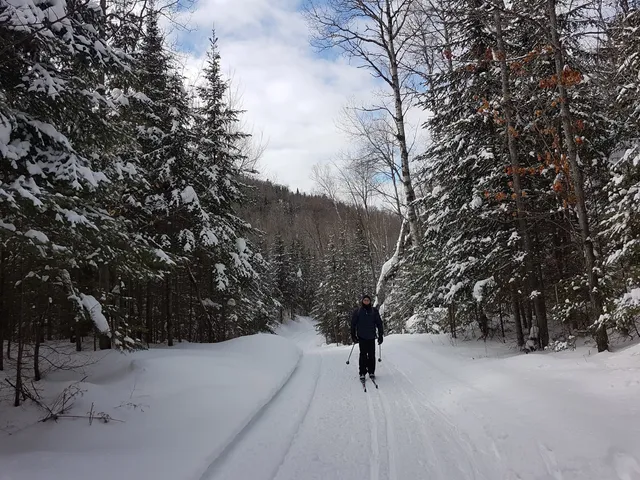 Leaf Lake Ski Trail