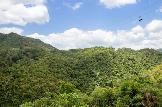 Loboc Ecotourism Adventure Park