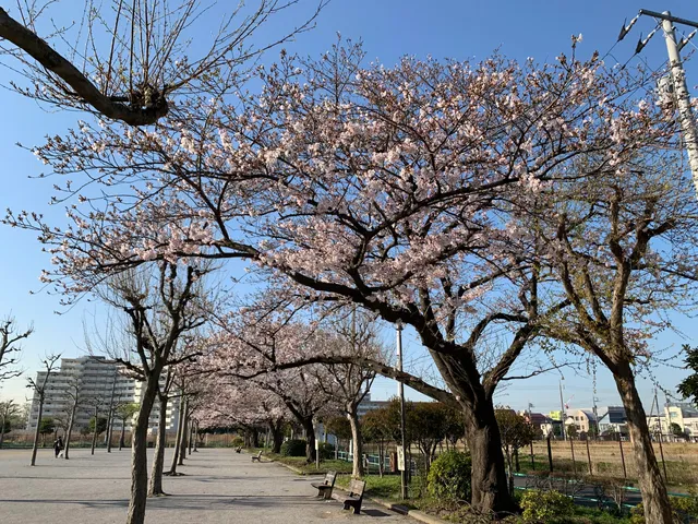 Takasagokita Park