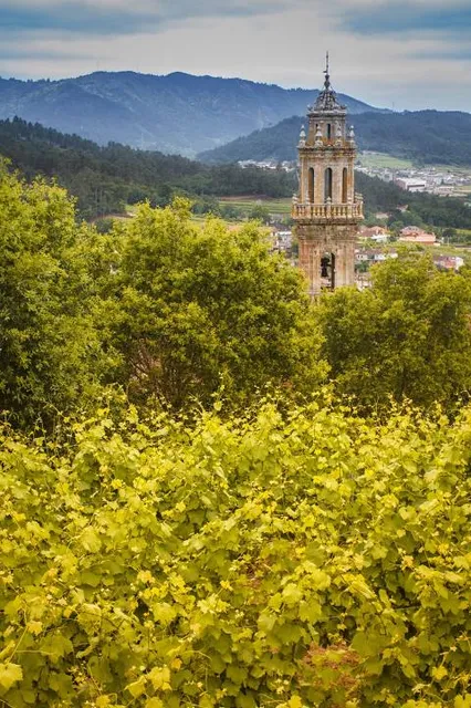 Museo do Viño de Galicia