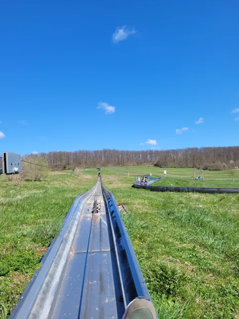 Sommerrodelbahn Loreley-Bob