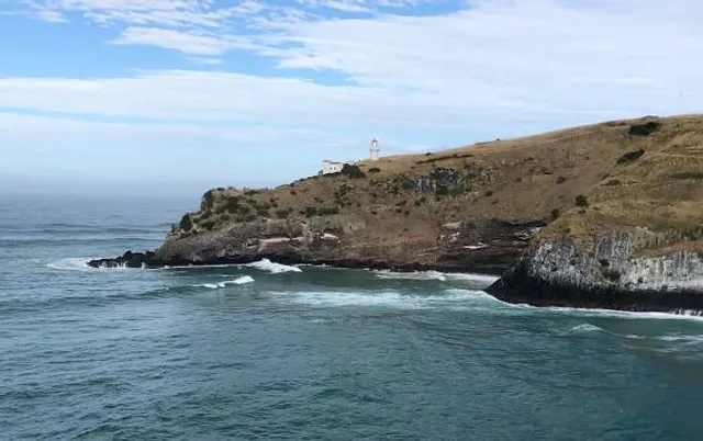 Monarch Wildlife Cruises & Tours