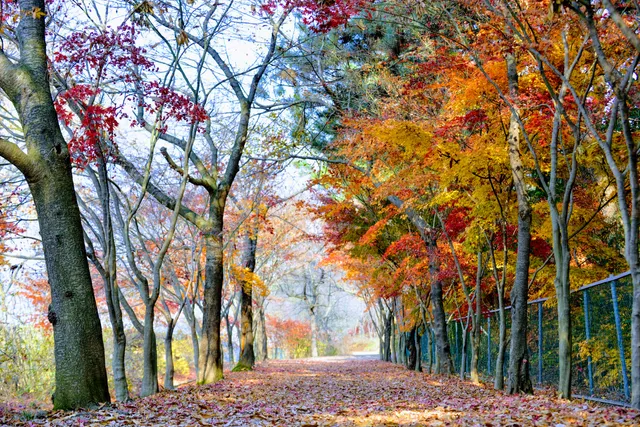 원광대학교 자연식물원