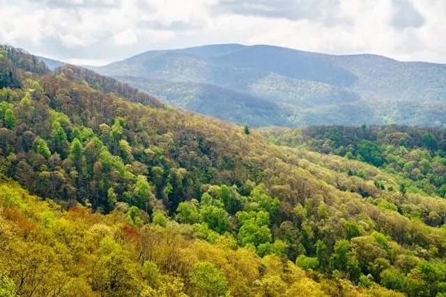 Cherokee National Forest