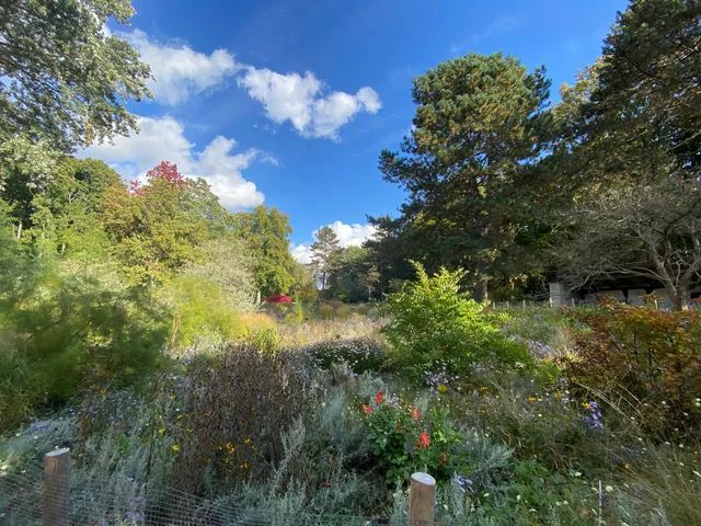 Steppengarten im Großen Tiergarten