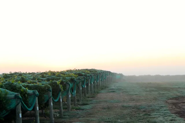 Soldier Creek Winery