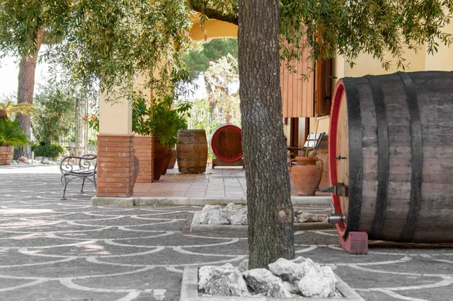 Cantine degli Astroni s.r.l.