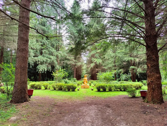 Арборетум у селі Страдч