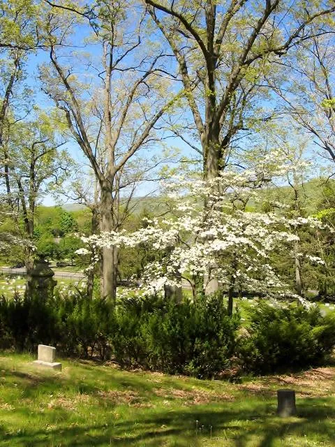 John W. Jones Museum