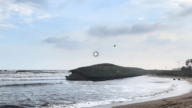 Beach Bistro Food Court