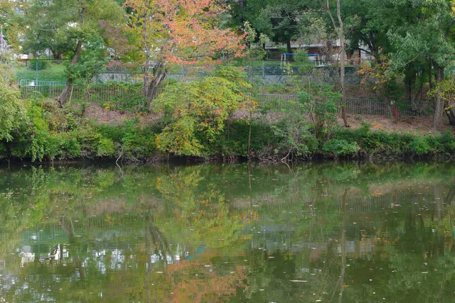 Torimidai 1 Gogaiku Park