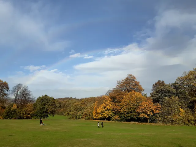 The Centre In The Park