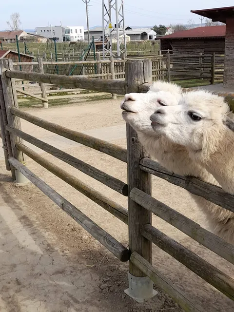 Staroměstská Minizoo