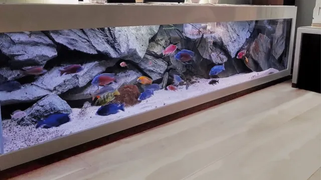 Aquadecor Backgrounds