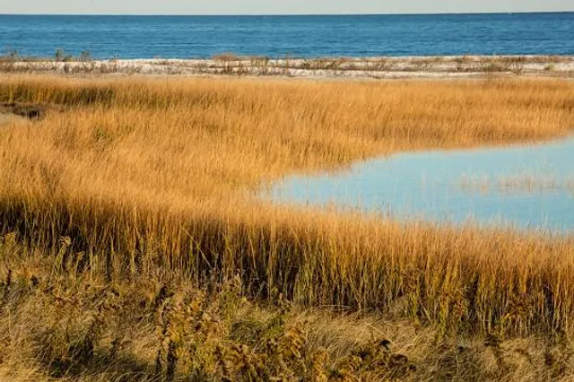 Connecticut Audubon Society Coastal Center at Milford Point