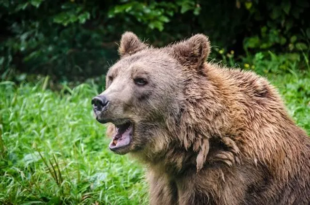 Mecklenburgische Seenplatte