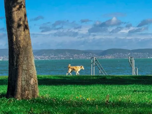 Heart of Balaton statue