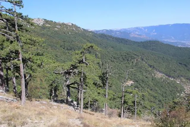 Fojo do Lobo de Fafião