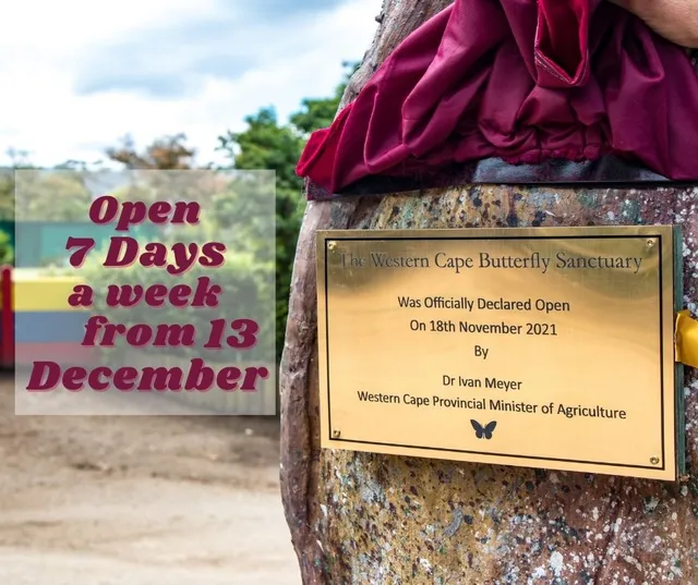 The Western Cape Butterfly Sanctuary