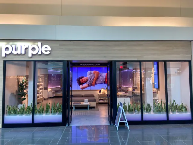 Purple - Cherry Hill