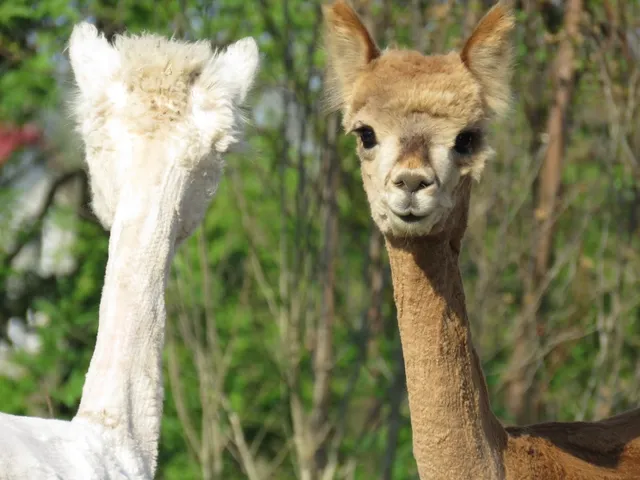 Gospodarstwo Jeziorkowo