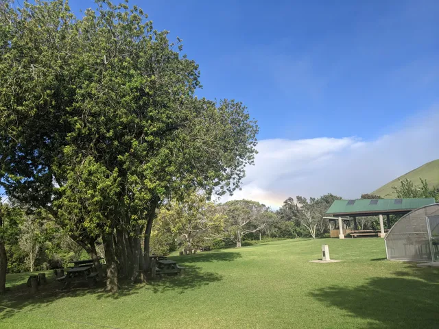 Ulu La‘au (Waimea Nature Park)