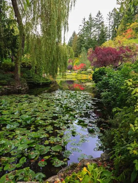 English Garden Eulbach