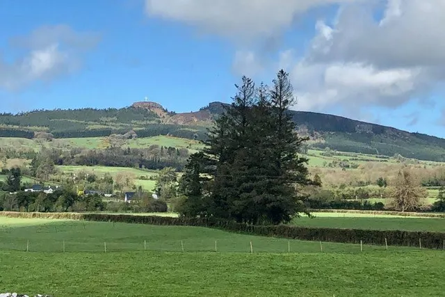 The Municipal District of Thurles